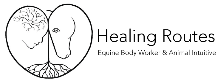Healing Routes