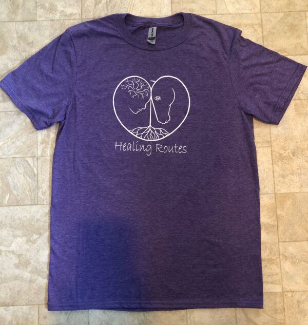 Healing Routes Premium T-shirt
