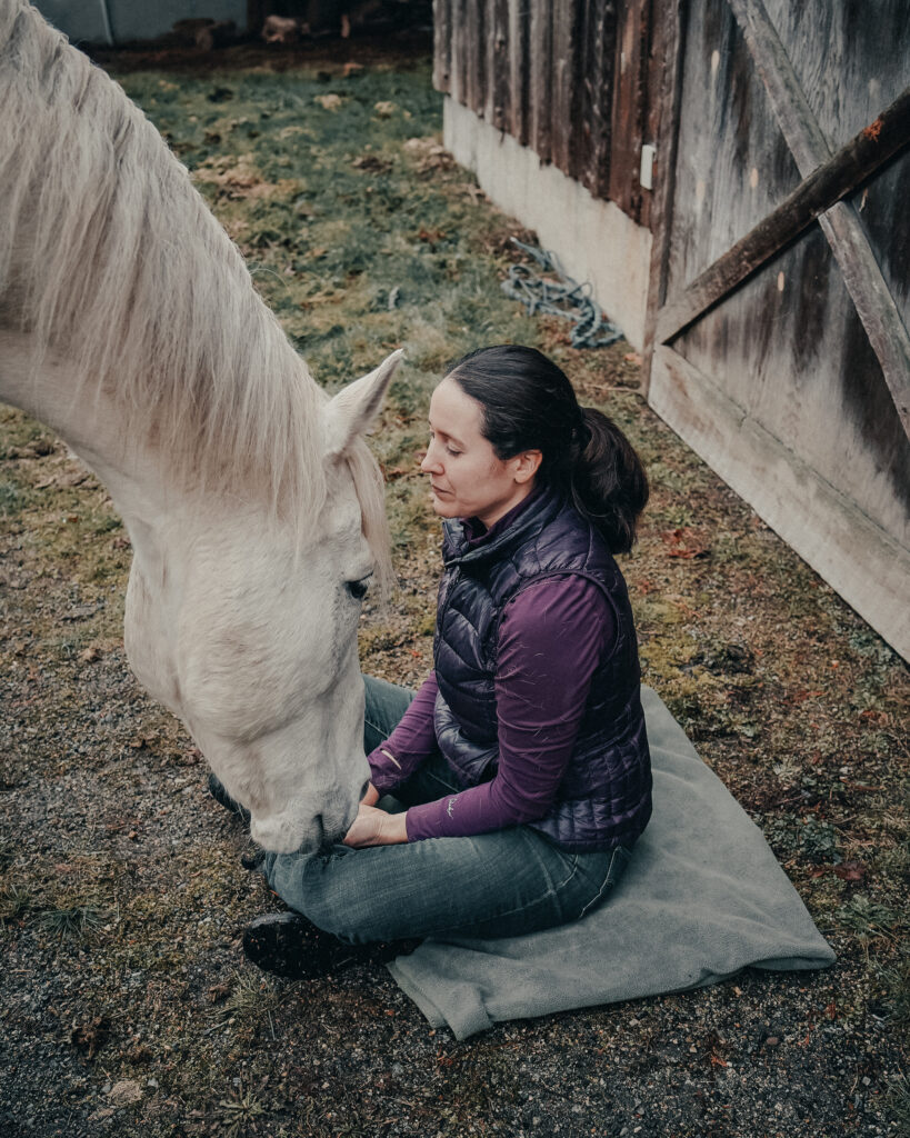 listening to the horse